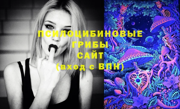 ECSTASY Михайловск