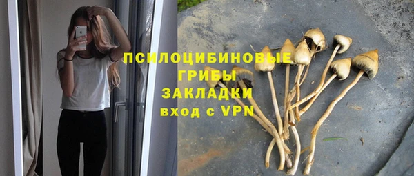 2c-b Надым