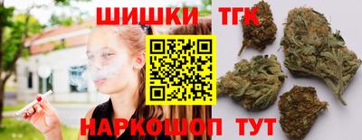 СК Гагарин