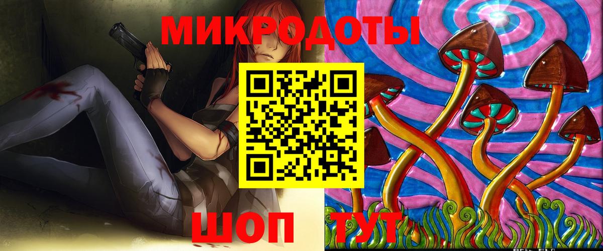 Псилоцибиновые грибы Psilocybe  Вход с VPN  Михайловск 