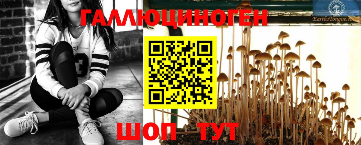 Галлюциногенные грибы прущие грибы Михайловск